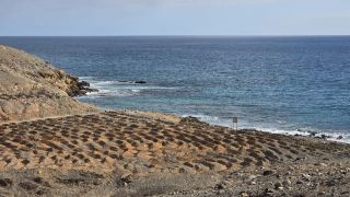 2025-01-GC-Playa_Carpinteras-43.jpg